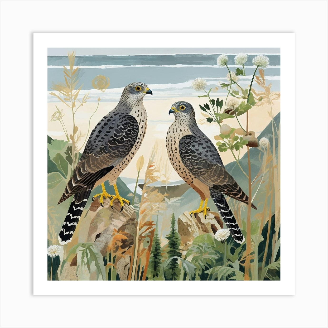 Bird In Nature Eurasian Sparrowhawk 1