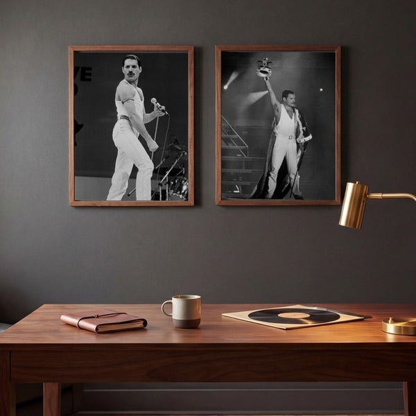 Freddie Mercury Live