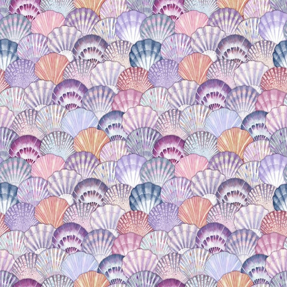 Seashells Beautiful Marine Colors