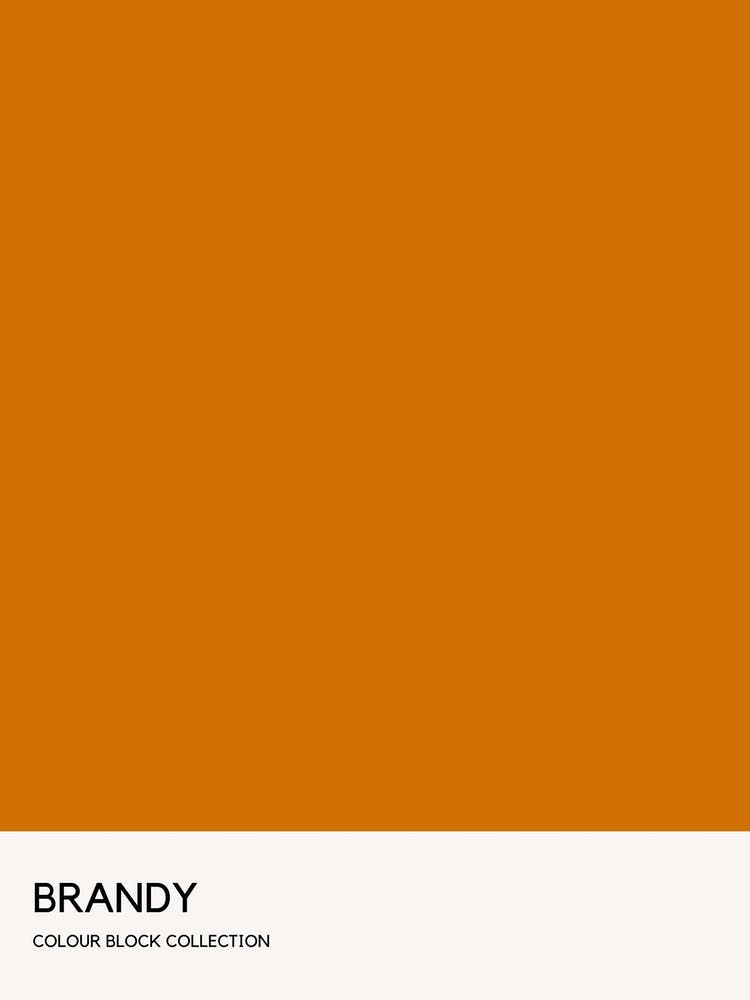 Brandy Colour Block Poster