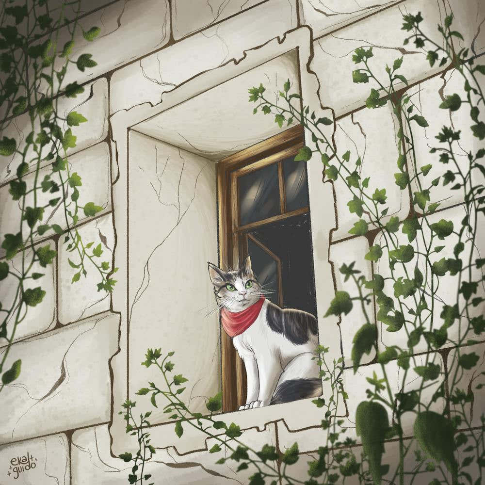 Cat In The Window