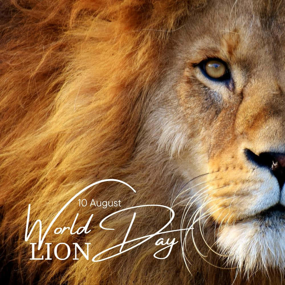 Brown 10 August World Lion Day Awareness Animal Feline Instagram Post 20231226 133129 0000