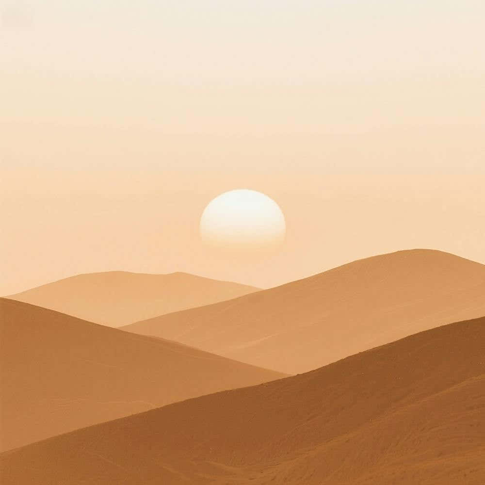 Sunset In The Desert 10