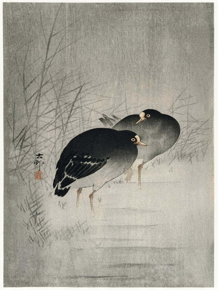 Moorhills Between Reeds (1900 1930), Ohara Koson