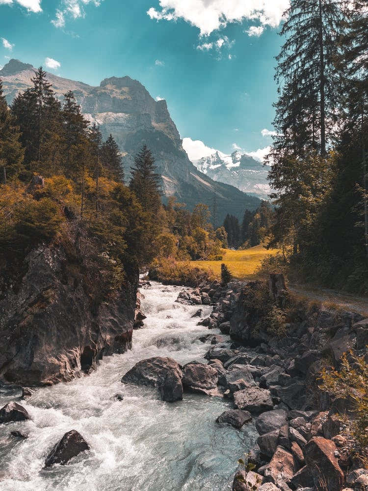 Swiss Alps