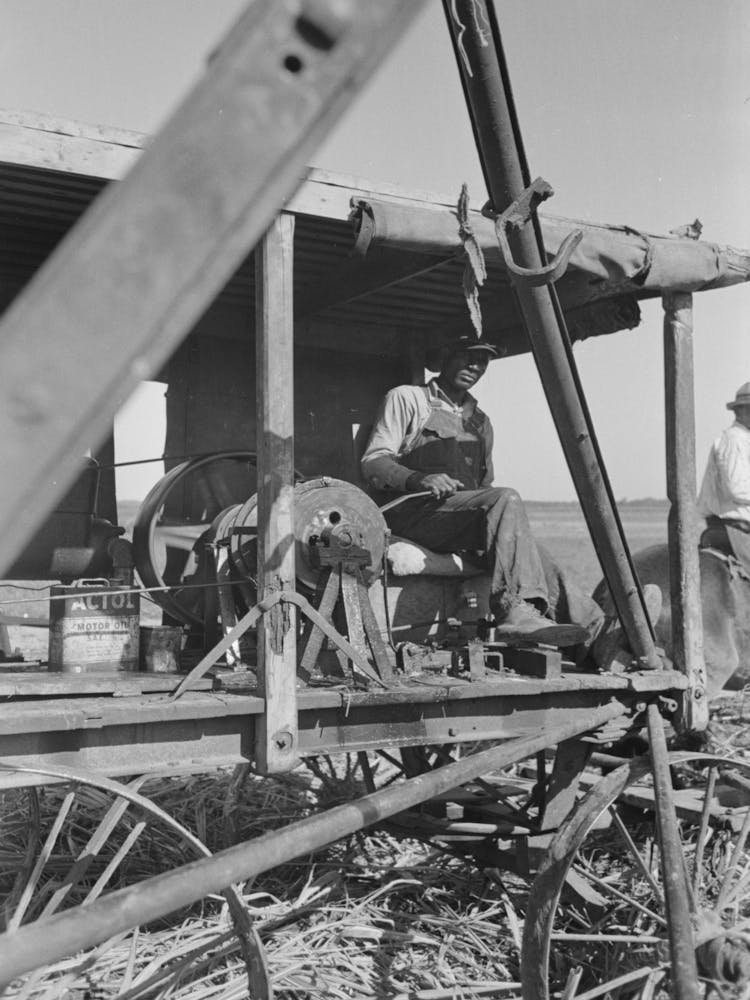 Untitled Photo, Possibly Related To Loading Sugarcane, Louisiana By Russell Lee