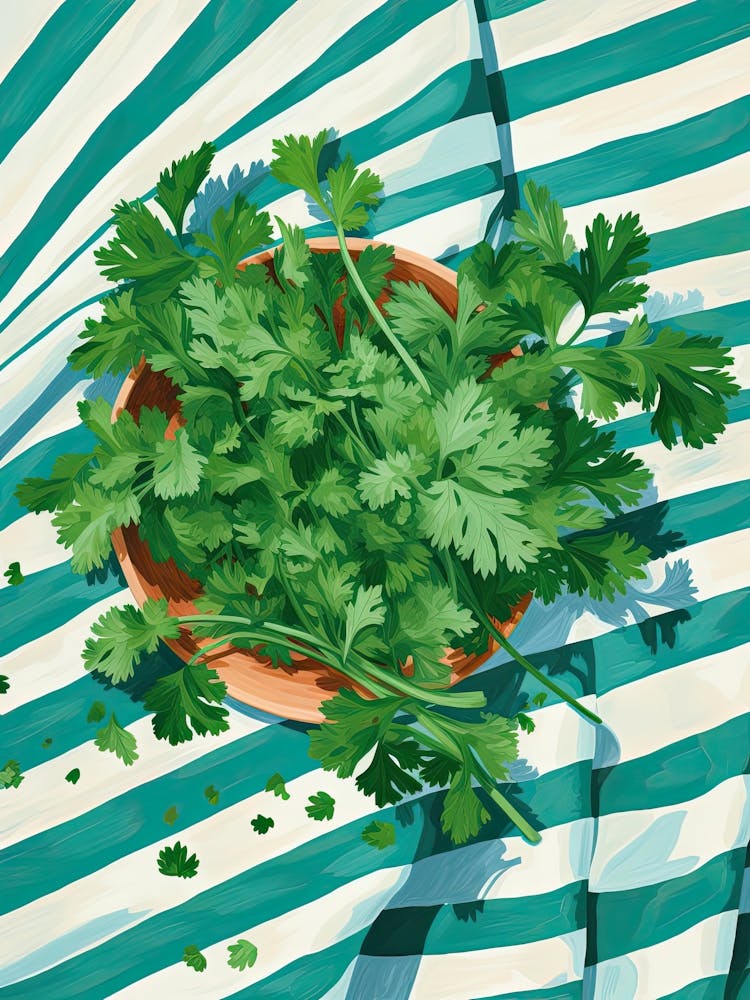 Cilantro Summer Illustration 9