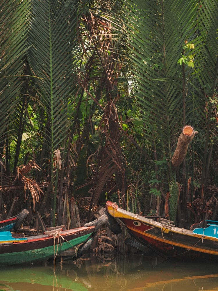 Vietnam Mekong Delta