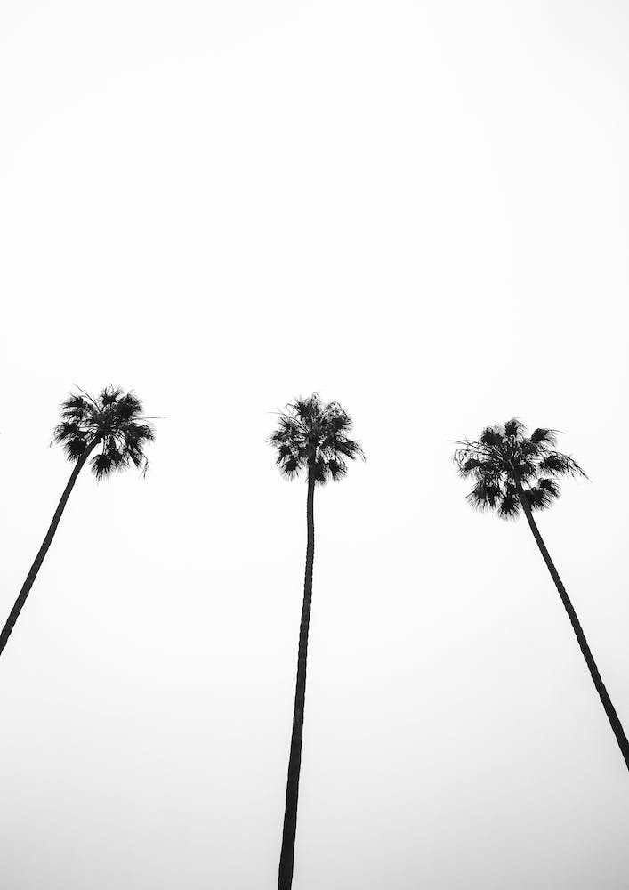 Cali Cathedrals 02
