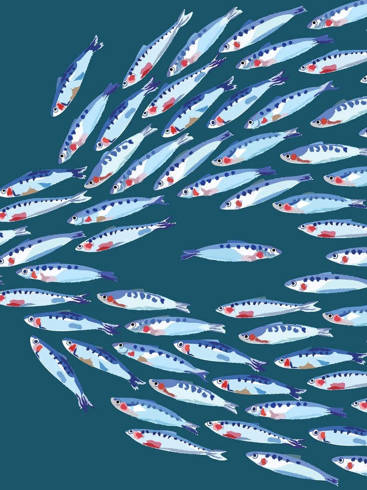 Fish Shaul Nautical Navy And Blue