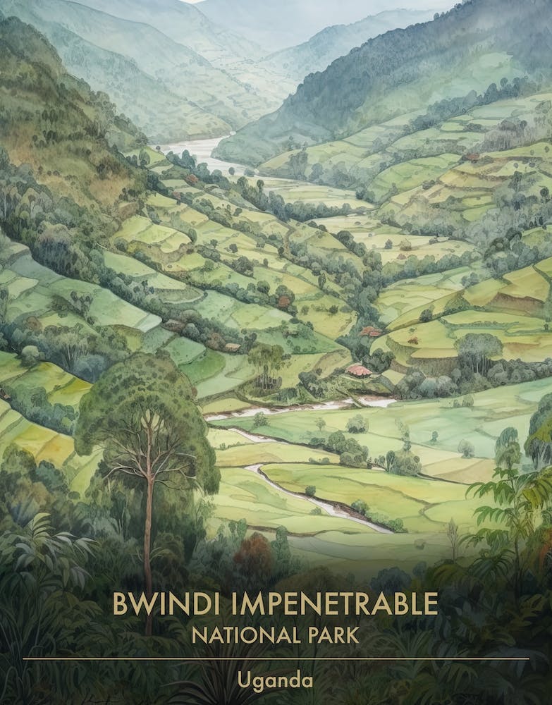 Bwindi Impenetrable National Park Uganda Watercolour 3
