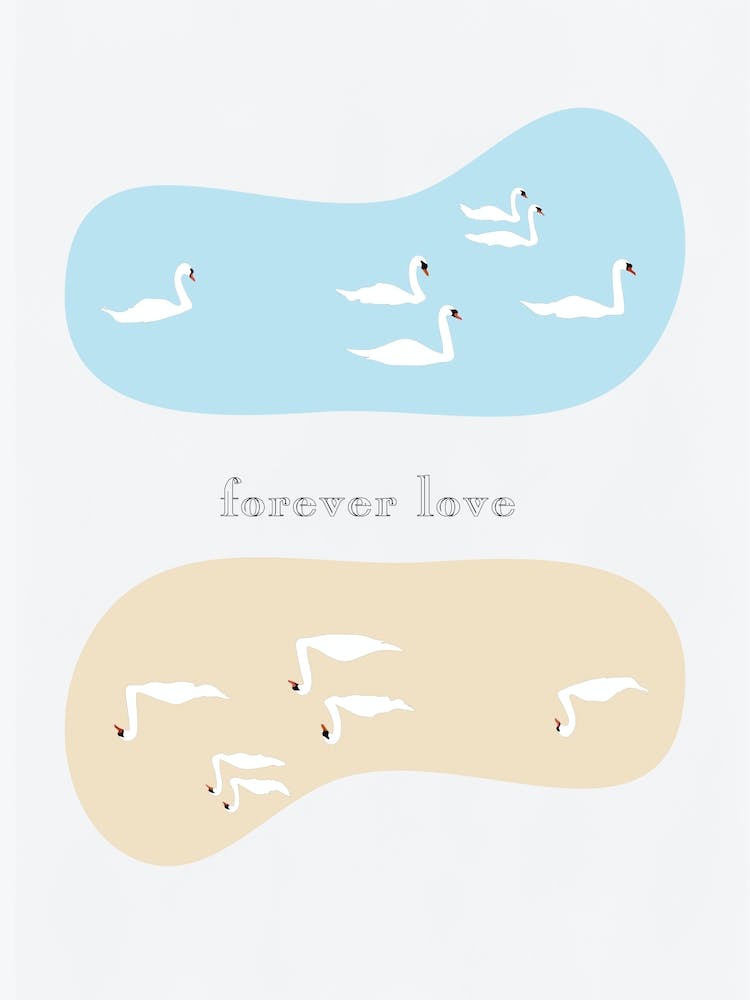 Forever Love - Swan Family