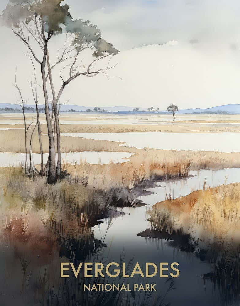 Everglades National Park Watercolour Vintage Travel Poster 1