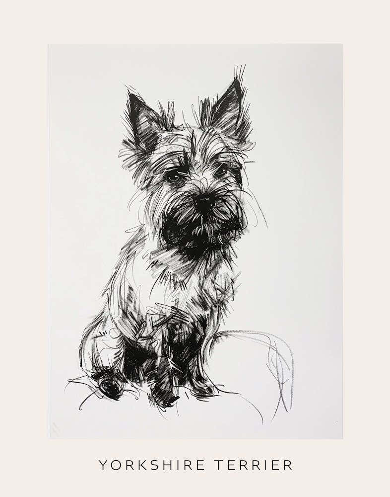 Yorkshire Terrier Black & White Line Sketch 1 Poster