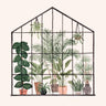 Plant Watercolor Art Prints