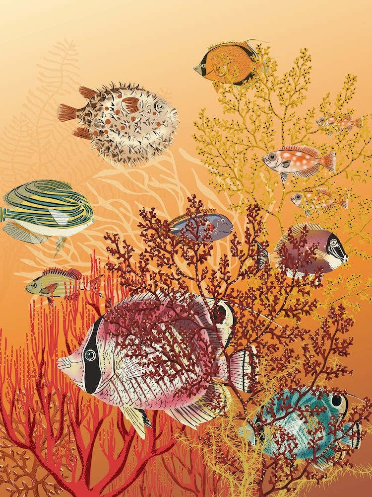 Coral Reef Deep Silence 2