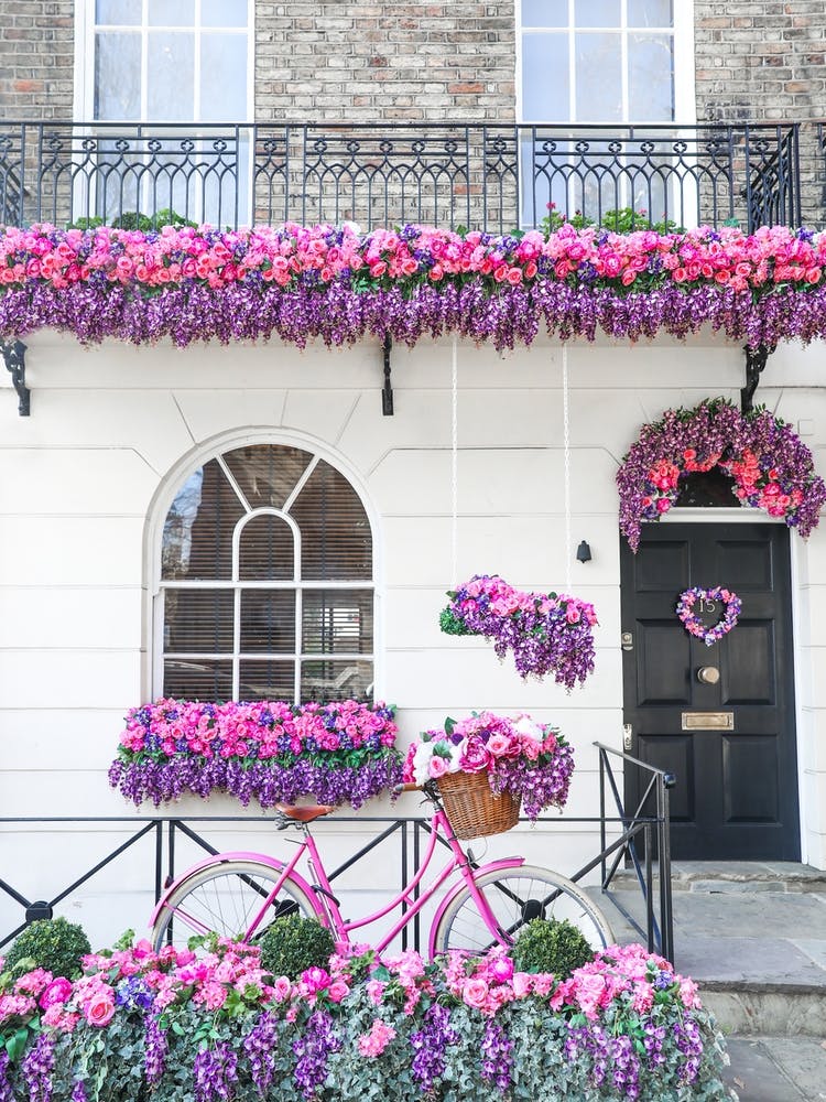 Pink Purple Belgravia Bicycle