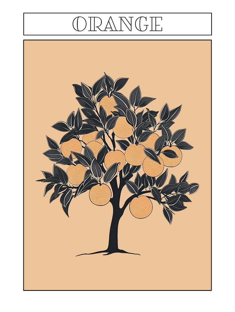 Orange Tree Minimalistic Drawing 4 Poster