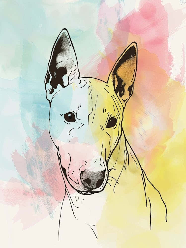 Bull Terrier Dog Pastel Line Watercolour Illustration  3