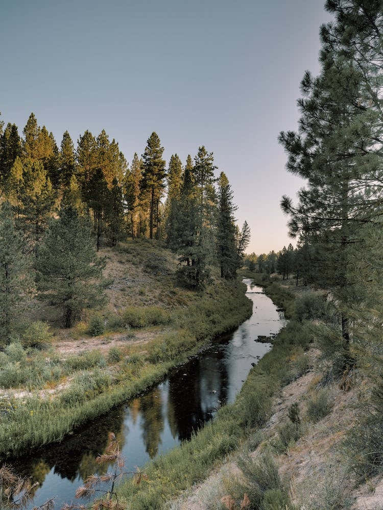 New Mexico Wilderness