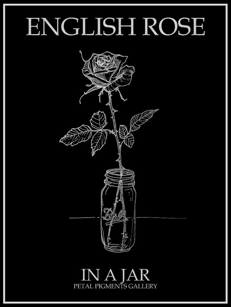 English Rose In A Jar Line Drawing 4 Poster Inverted