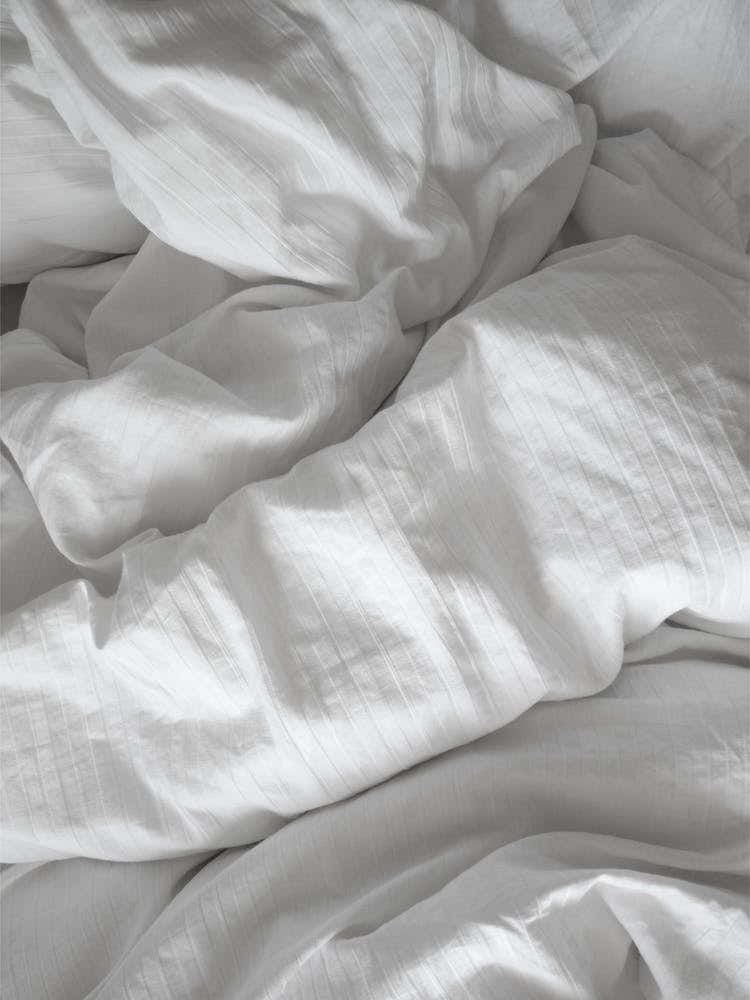 A Perfect Day In Bed