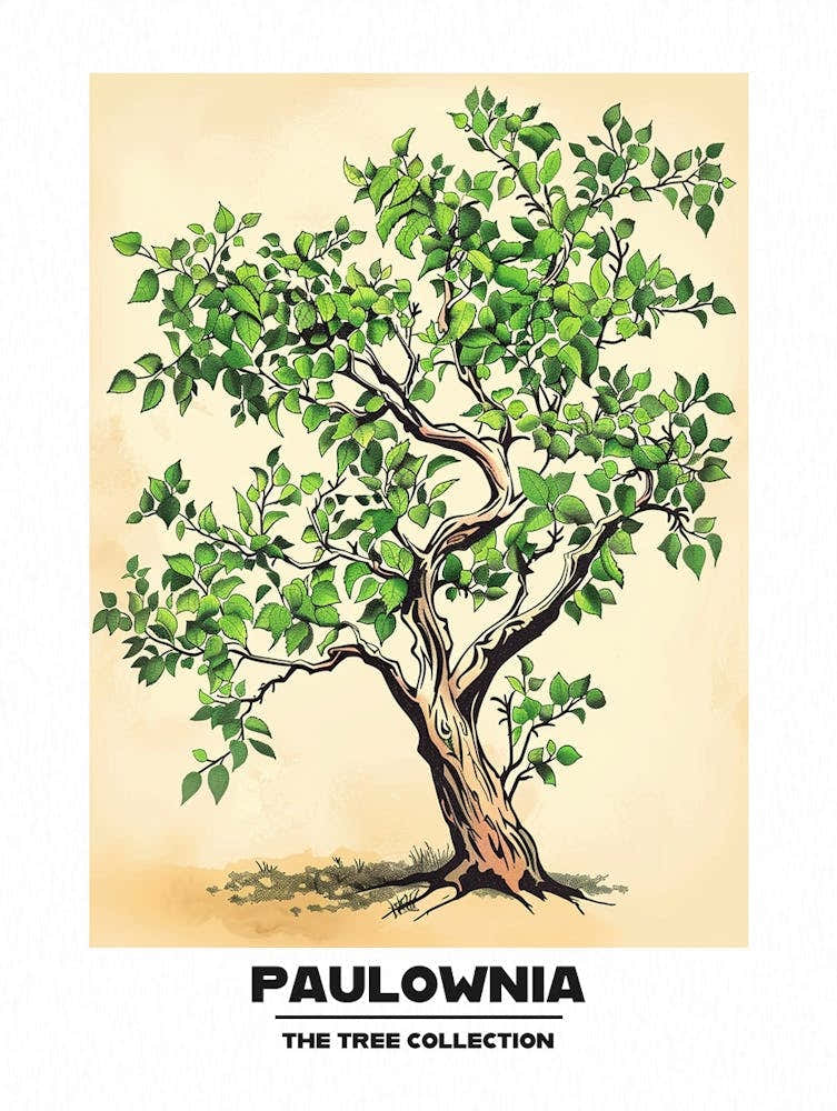 Paulownia Tree Storybook Illustration 1 Poster