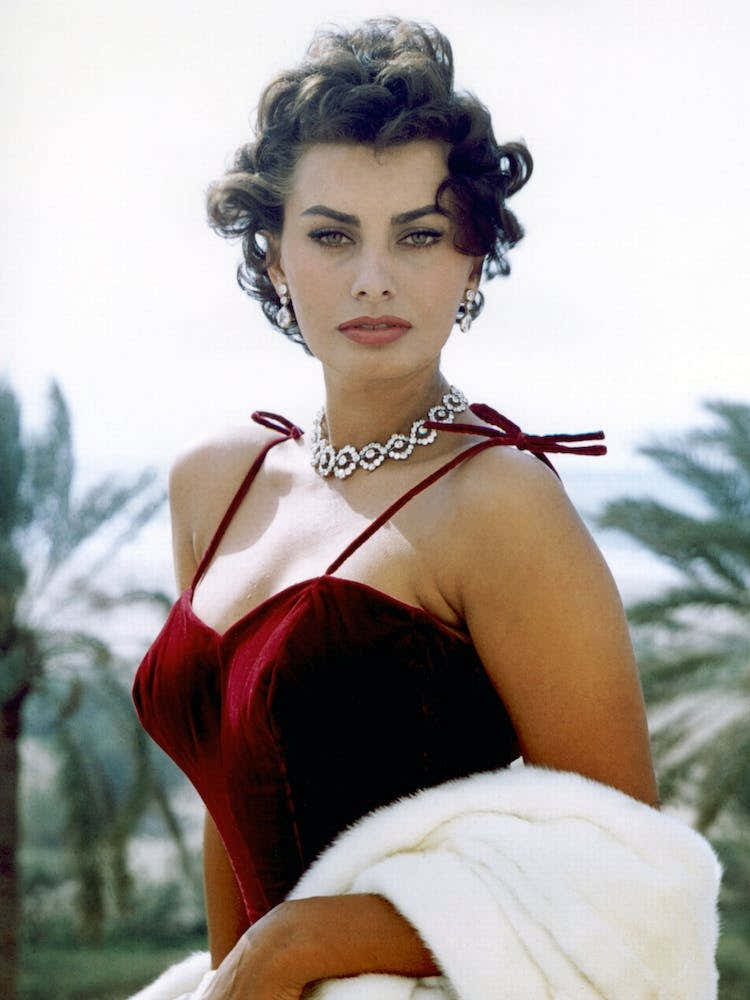 Sophia Loren