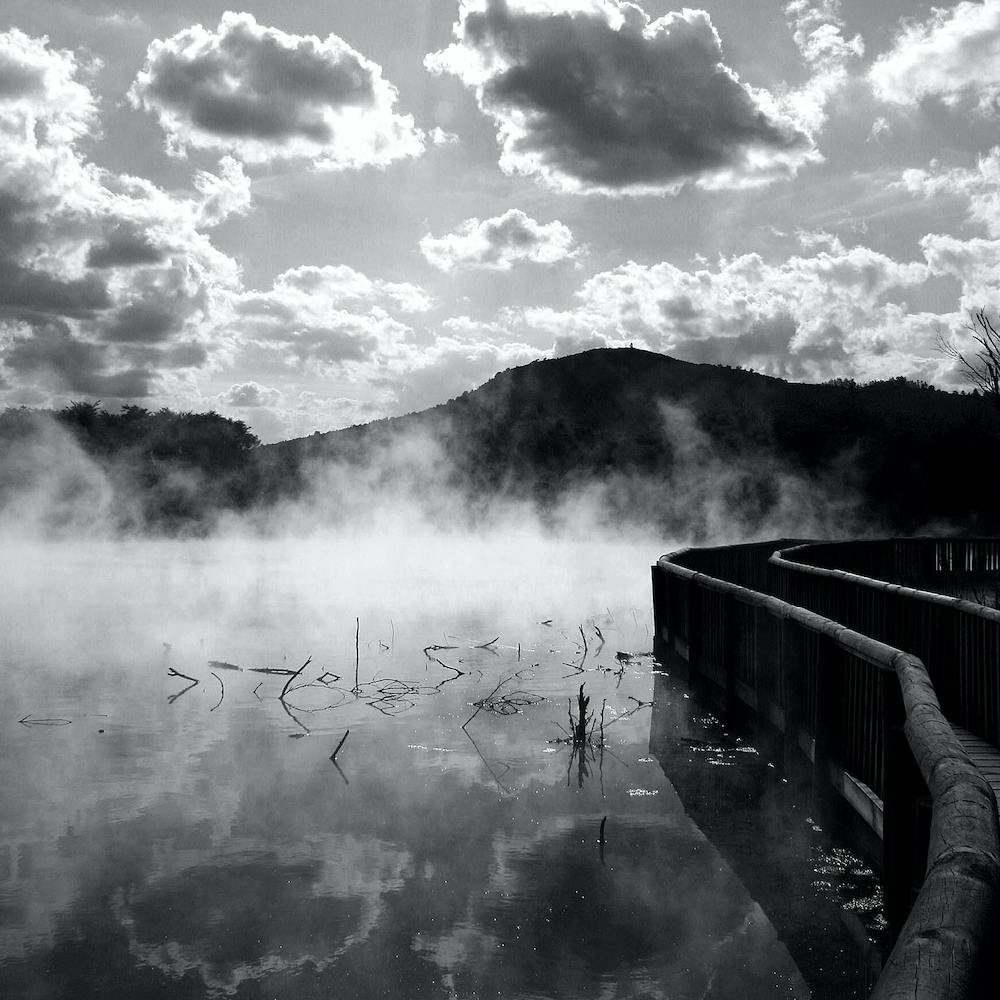 Misty Walk - Rotorua New Zealand