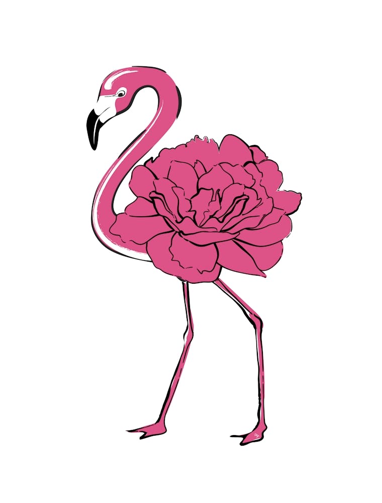 Peony Flamingo