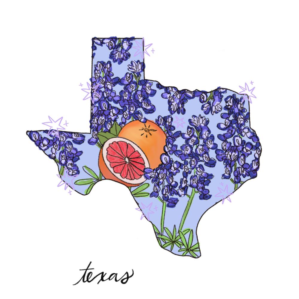 Texas - Illustrated States