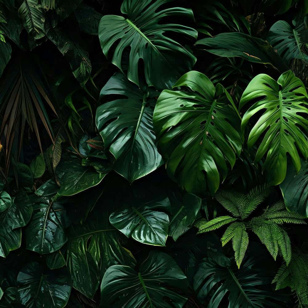 Tropical Leaves Wall