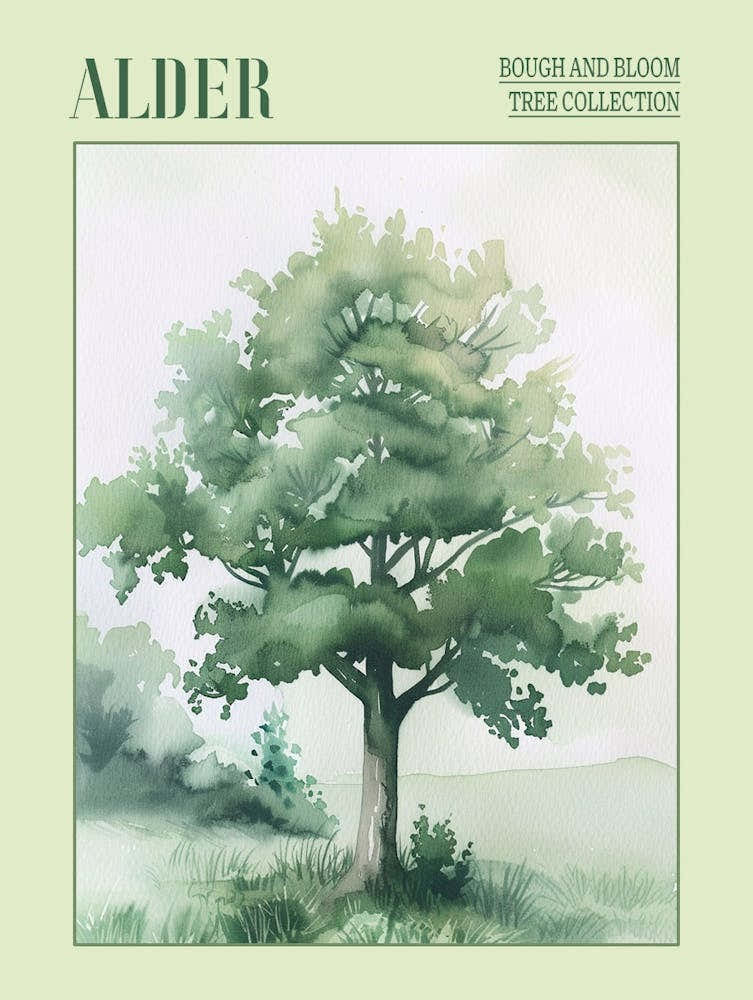 Alder Tree Atmospheric Watercolour Painting 4 Poster