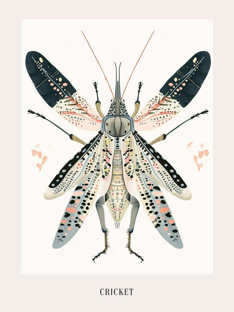 Colourful Insect Illustration Cricket 14 Poster