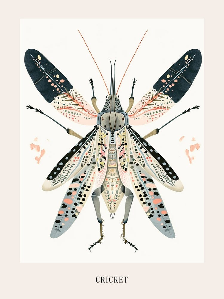 Colourful Insect Illustration Cricket 14 Poster
