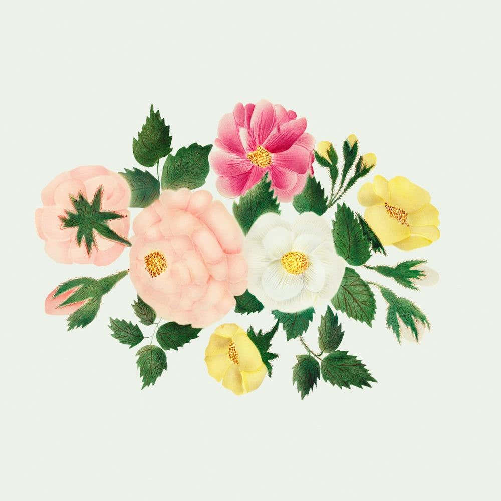 Watercolor Flowers