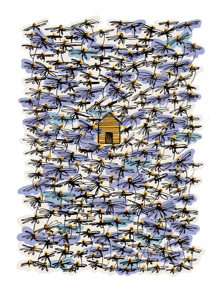 Tiny Log Cabin Meadow