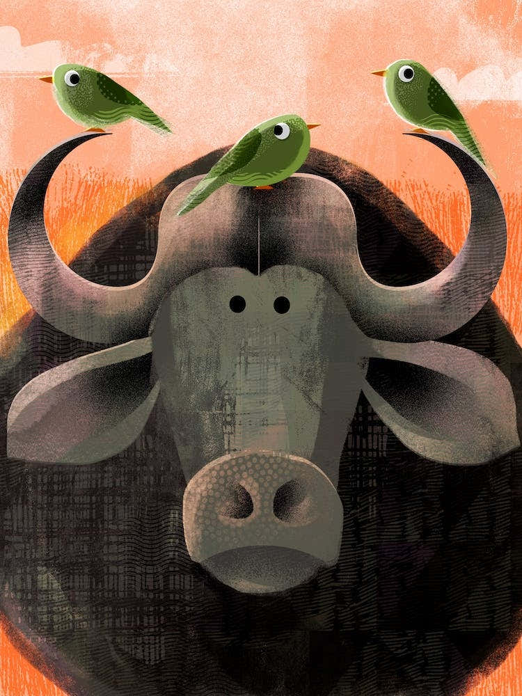 Buffalo With Pesky Birds