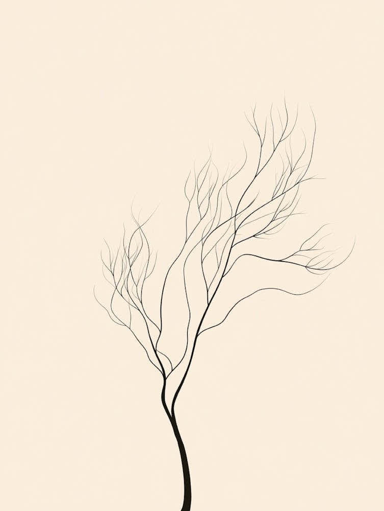 Bare Tree 3