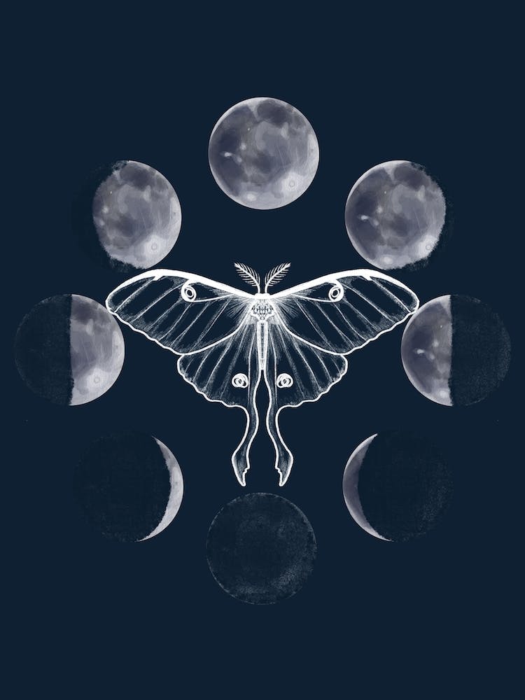 Phases