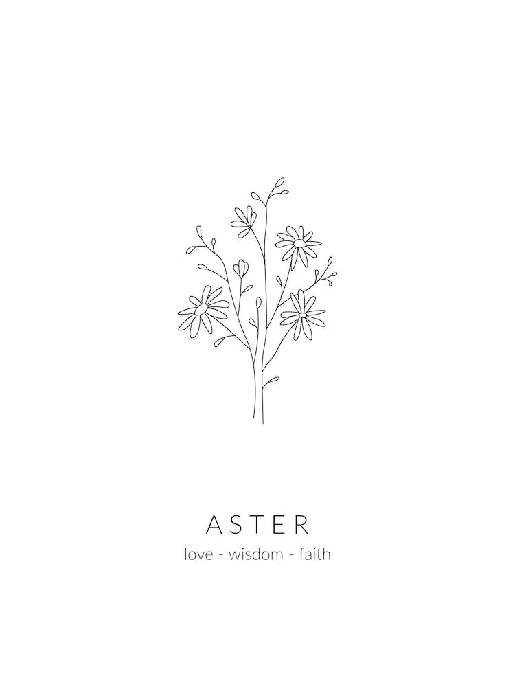 Aster Birth Flower