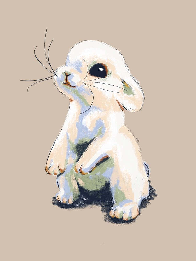 Baby Bunny