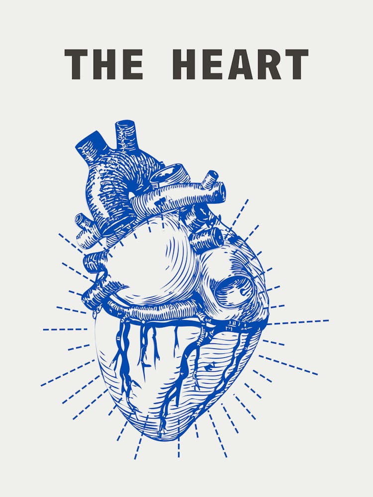 Heart 2