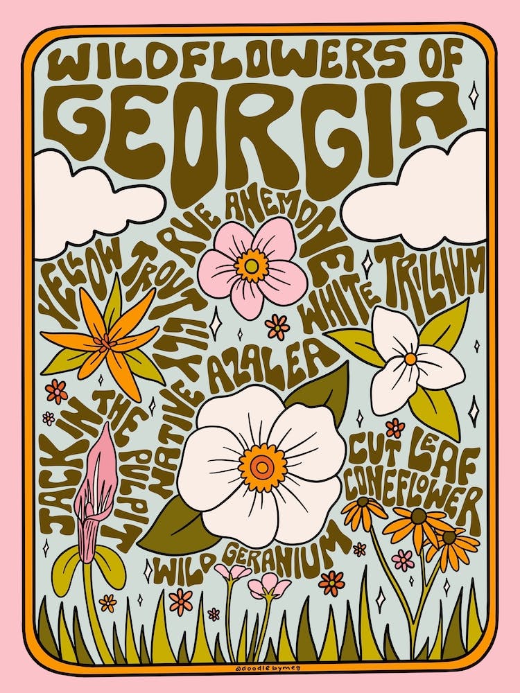 Georgia Wildflowers