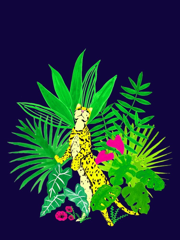 Jungle Cheetah