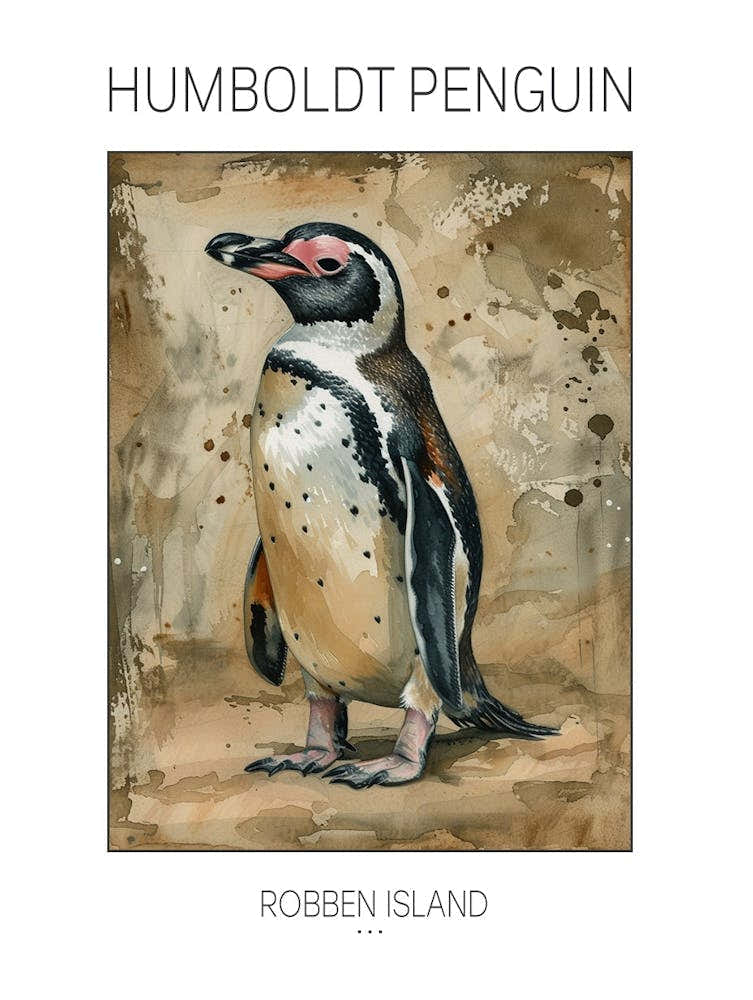 Humboldt Penguin Robben Island Watercolour Painting 1 Poster