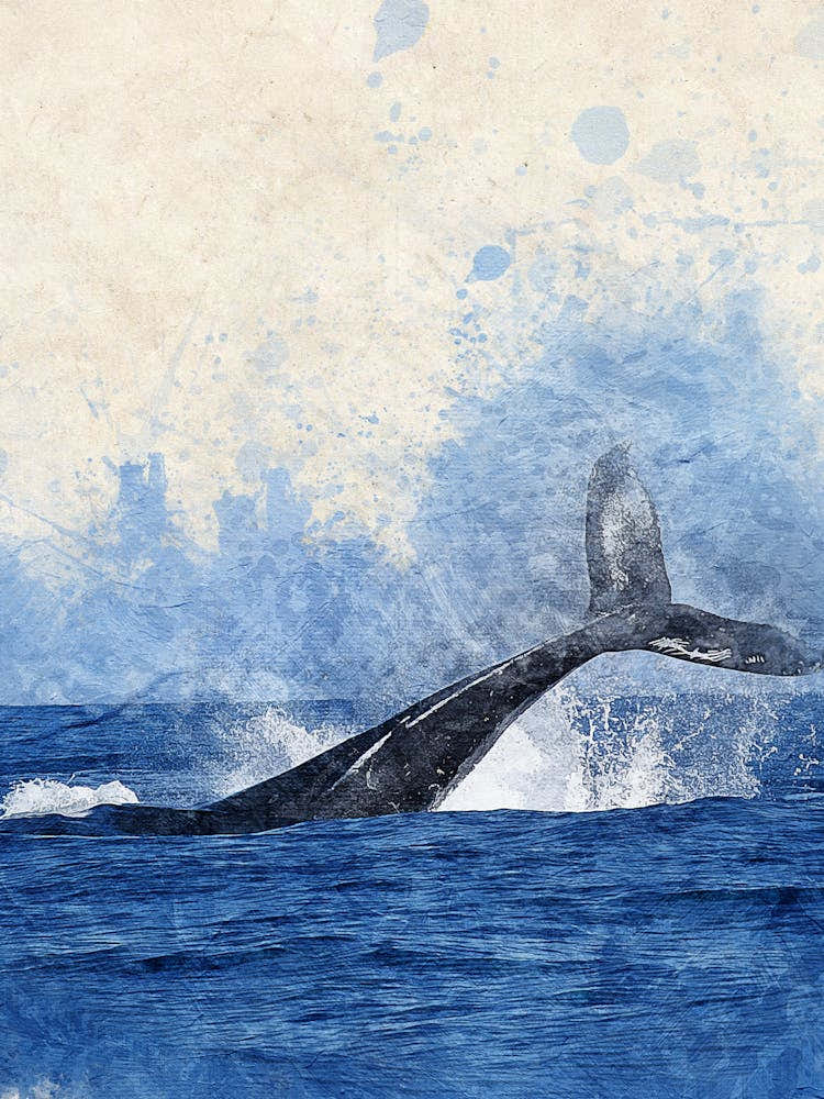 Humpback Whale