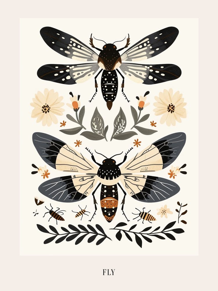 Colourful Insect Illustration Fly 4 Poster