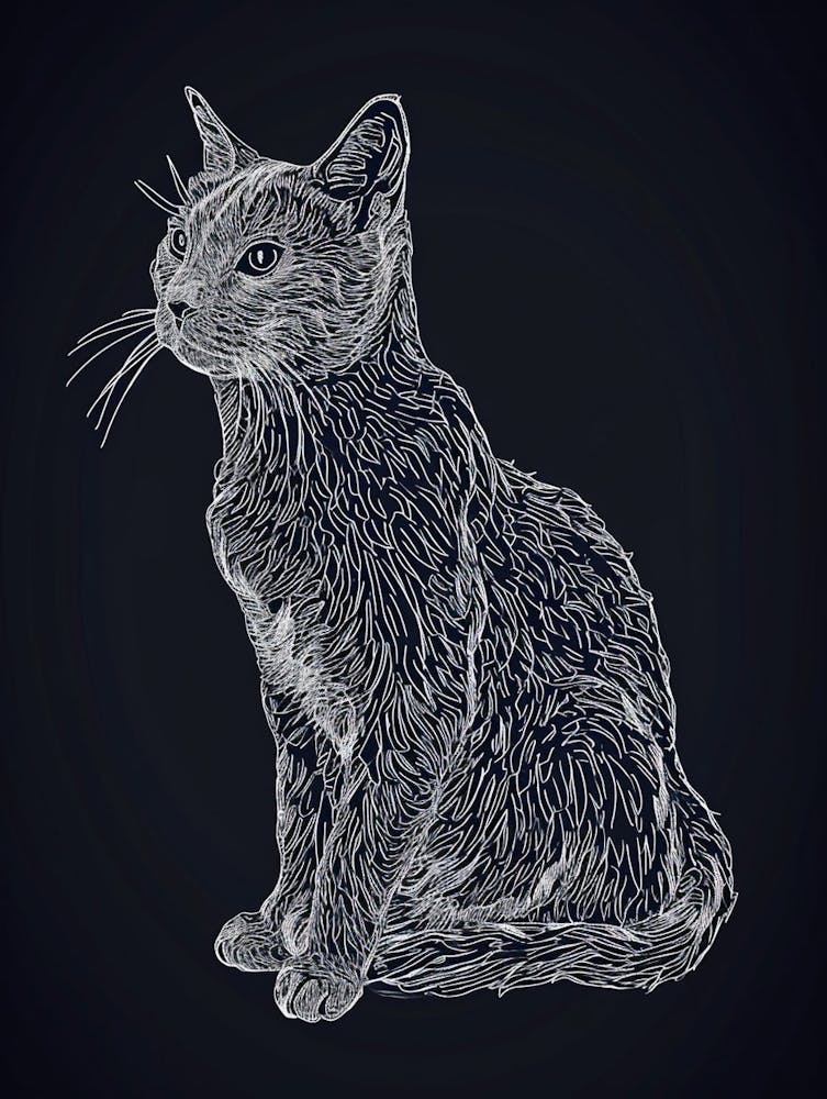 European Shorthair Cat Minimalist Illustration 3