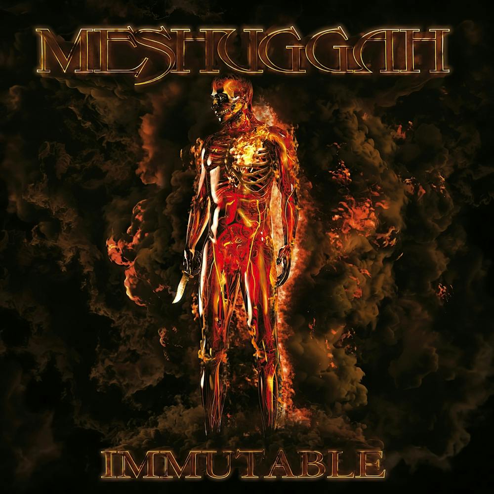 Meshuggah 3